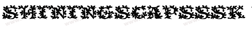 ShiningSCapsSSK Bold字体转换